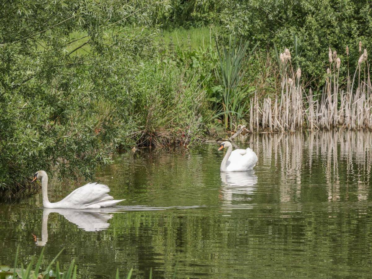 Willow Lodge Brough  Zewnętrze zdjęcie